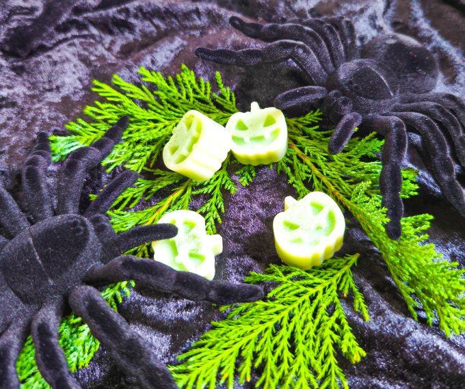 fondant senteur Cadavre dans la Forêt 