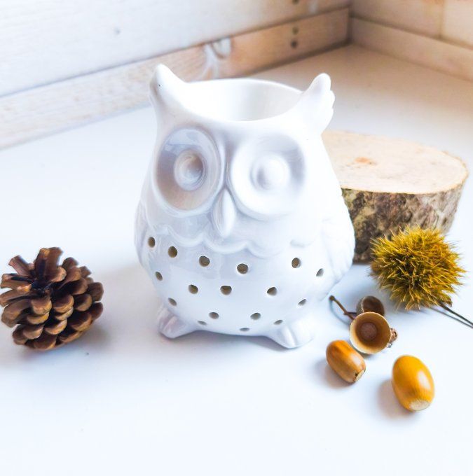 Coffret Brûleur Hibou