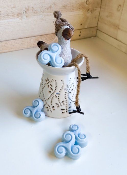 fondant senteur Marin