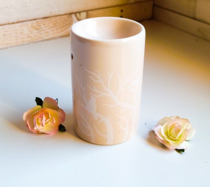 Coffret avec brûleur nude oiseau 