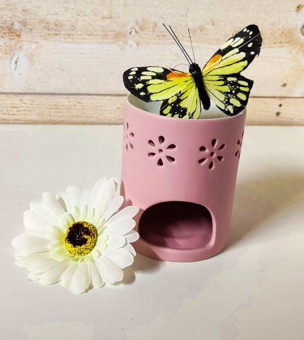 Coffret Marguerite rose carré 