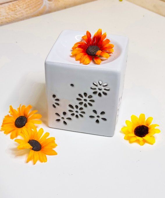 Coffret Brûleur petite Fleur